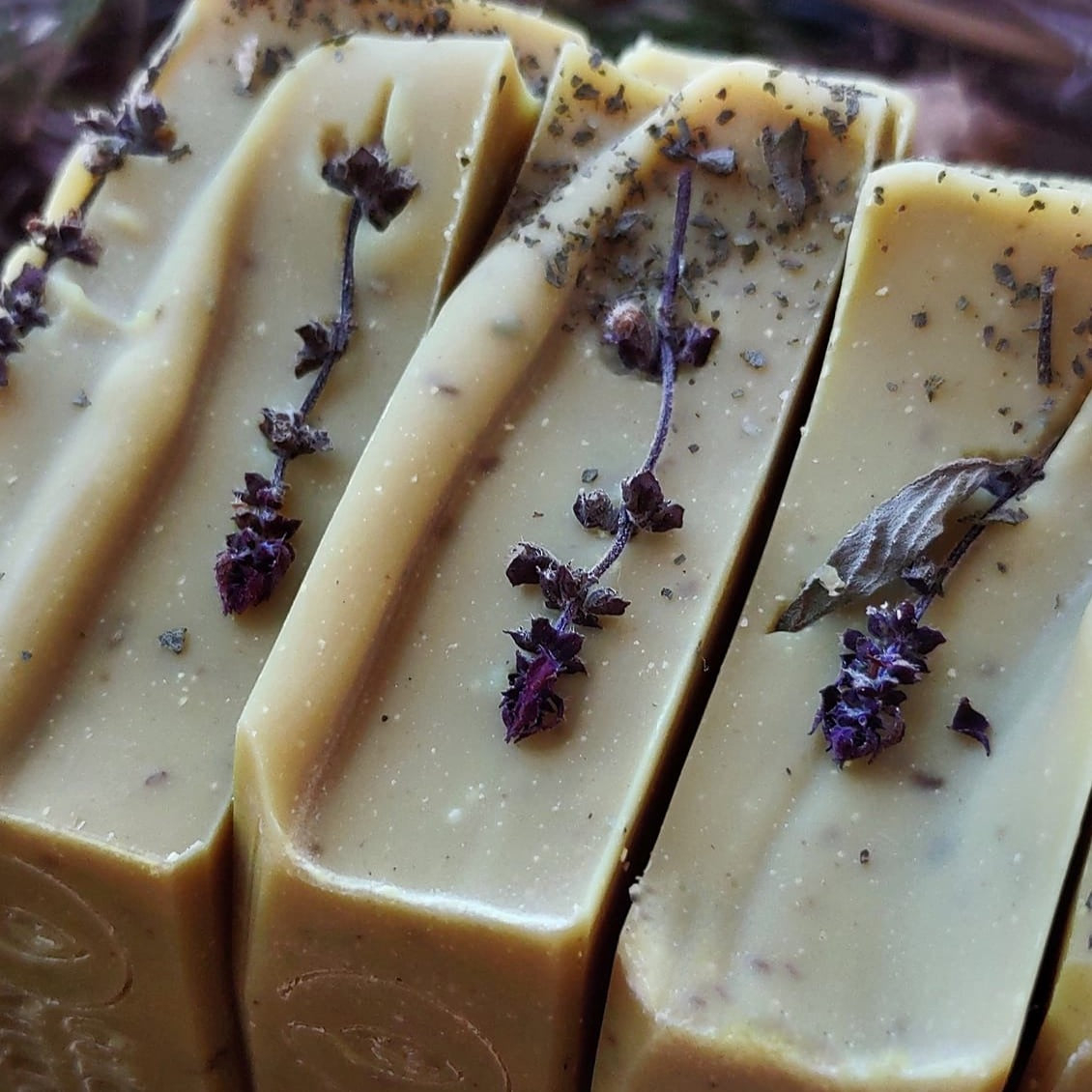 FREE - How To Make Cold Process Soap - Beginner - Cold Creek Natural Farm